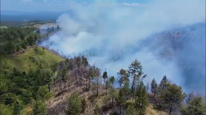 Indonesia: Cháy rừng nghiêm trọng thiêu rụi hơn 700 hecta - Ảnh 3.