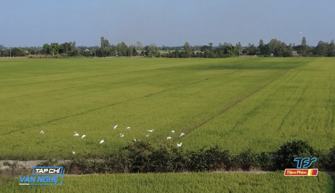 Thuyền Hưng Bảo: Hơn 20 năm đi tìm lời giải cho đất- Ảnh 3.