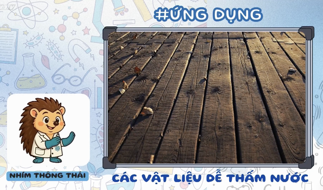 Góc nhỏ kỳ diệu: Vẽ tranh sáng tạo kết hợp hoa tươi - Ảnh 8.
