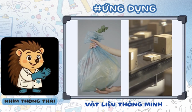 Góc nhỏ kỳ diệu: Vẽ tranh sáng tạo kết hợp hoa tươi - Ảnh 10.