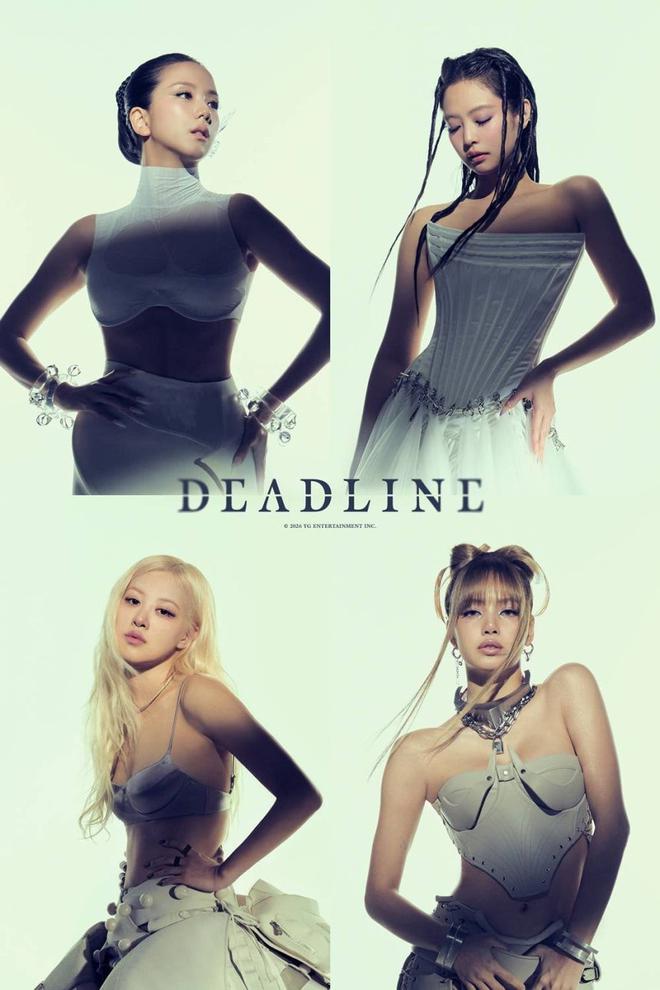 BLACKPINK gửi lời tri ân đến người hâm mộ- Ảnh 7.