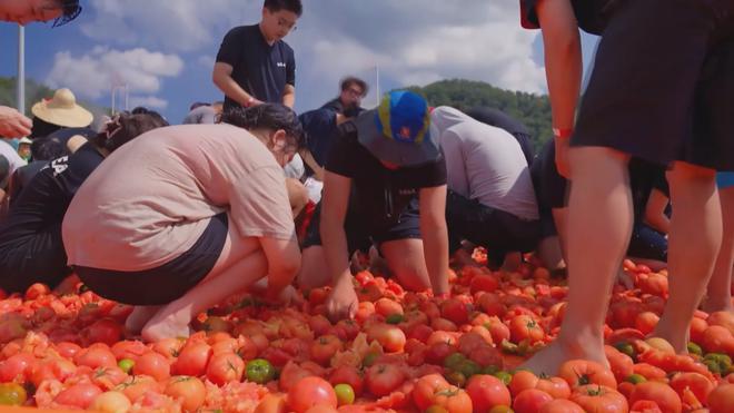 Hàn Quốc: Săn nhẫn vàng giữa “biển” cà chua - Ảnh 3.