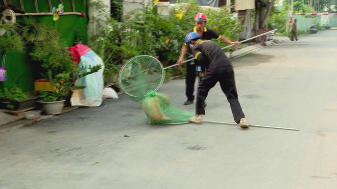 Quyết liệt kiểm soát chó, mèo thả rông, ngăn nguy cơ bệnh dại- Ảnh 4.