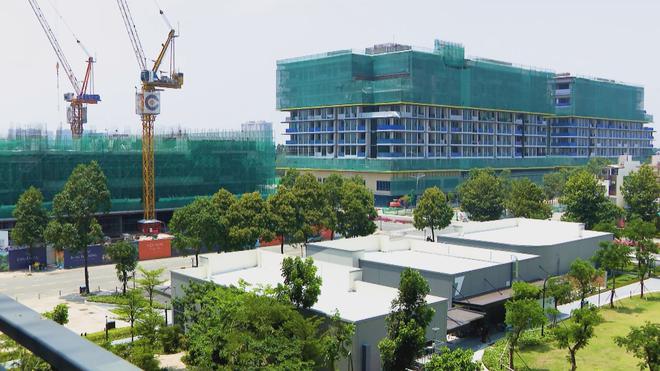 Niên hạn chung cư: Cần hiểu đúng để bảo đảm quyền lợi cư dân- Ảnh 1.