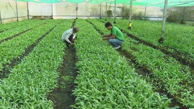 Vươn Khơi - Ngày 16/9/2026 | TP. Hồ Chí Minh hướng dẫn thực hiện quy định mới về điện mặt trời mái nhà - Ảnh 6.
