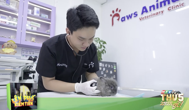 Lên phố kiếm tiền - 19g thứ Năm (24/9) trên HTV7 - Ảnh 1.