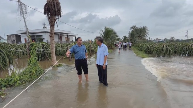 TP. Hồ Chí Minh: “Ông trùm” sản xuất 426 lô sản phẩm sữa giả bị đề nghị 30 năm tù | 60 Giây Sáng ngày 26/9/2026 - Ảnh 4.
