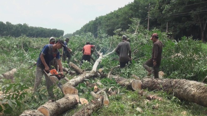 60 Giây Sáng ngày 6/9/2026 | Đề xuất tăng mức hỗ trợ đóng BHYT cho 5 nhóm từ 1/4/2027 - Ảnh 6.