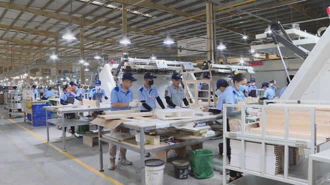 Vươn Khơi - Ngày 7/9/2026 | Đẩy mạnh chuyển đổi số trong doanh nghiệp nhỏ và vừa - Ảnh 3.