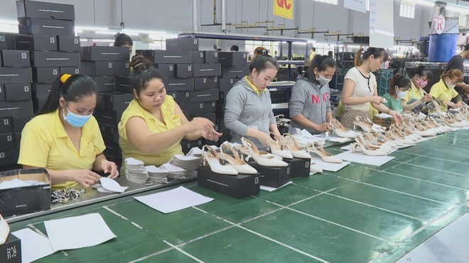 Vươn Khơi - Ngày 7/9/2026 | Đẩy mạnh chuyển đổi số trong doanh nghiệp nhỏ và vừa - Ảnh 5.