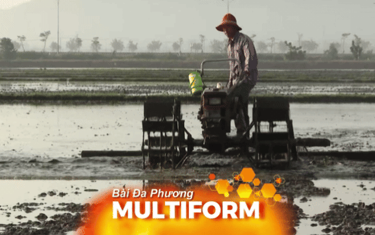 Nông dân TP. Hồ Chí Minh kỳ vọng mùa lúa Đông Xuân "được mùa, được giá"