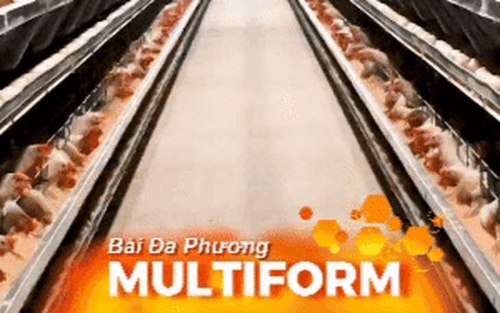 Đối sách cho doanh nghiệp trước biến động địa chính trị và giá năng lượng