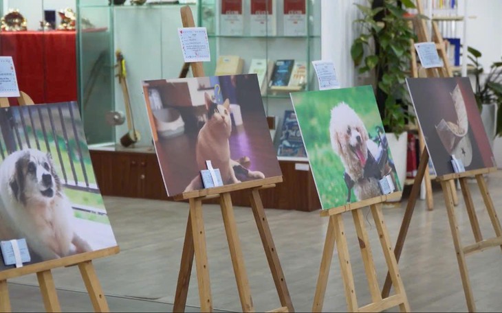 The Paw - Sitive Station: Khi yêu thương bắt đầu từ sự thấu hiểu và tôn trọng