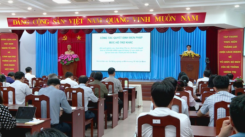 1.500 công chức, viên chức tham gia tập huấn về công tác bồi thường, giải phóng mặt bằng - Ảnh 3.