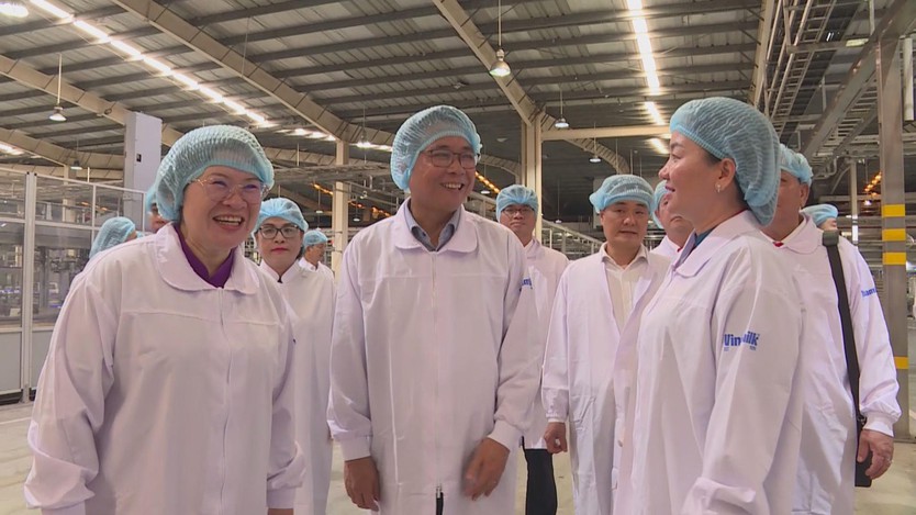 Đoàn đại biểu dự Đại hội Đảng bộ TP. Hồ Chí Minh tham quan mô hình kinh tế khu vực Bình Dương- Ảnh 2.