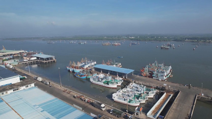 TP. Hồ Chí Minh tăng cường giải pháp chống khai thác thủy sản bất hợp pháp- Ảnh 1.