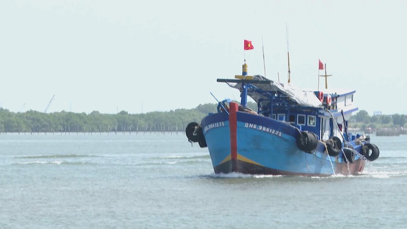 TP. Hồ Chí Minh tăng cường giải pháp chống khai thác thủy sản bất hợp pháp- Ảnh 4.