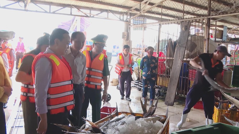 TP. Hồ Chí Minh tăng cường giải pháp chống khai thác thủy sản bất hợp pháp- Ảnh 3.