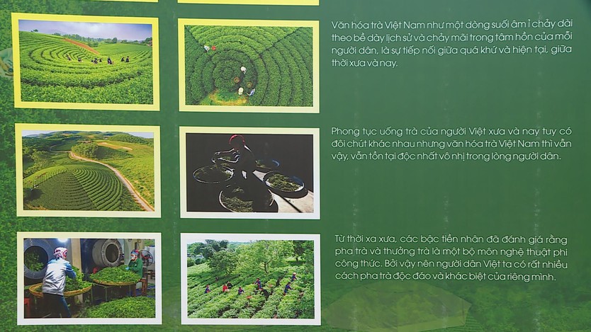 Tôn vinh văn hóa Trà Việt: Hành trình từ cây chè tới chén trà - Ảnh 4.