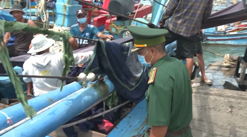 TP. Hồ Chí Minh: Tăng cường giám sát, đẩy mạnh tuyên truyền quyết liệt chống IUU- Ảnh 3.