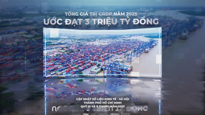 Để TP. Hồ Chí Minh giữ vững vị thế đầu tàu kinh tế của cả nước - Ảnh 9.