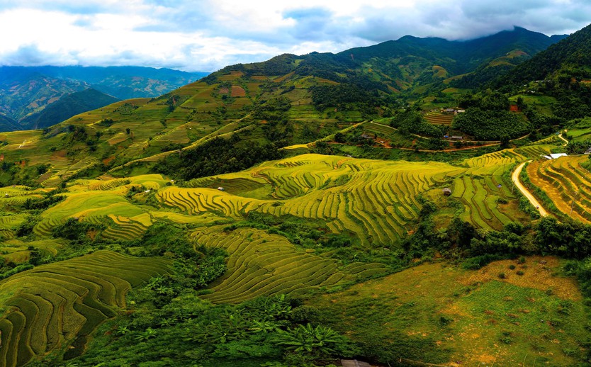 Đẹp nao lòng bức tranh mùa lúa chín ở Mù Cang Chải- Ảnh 1.