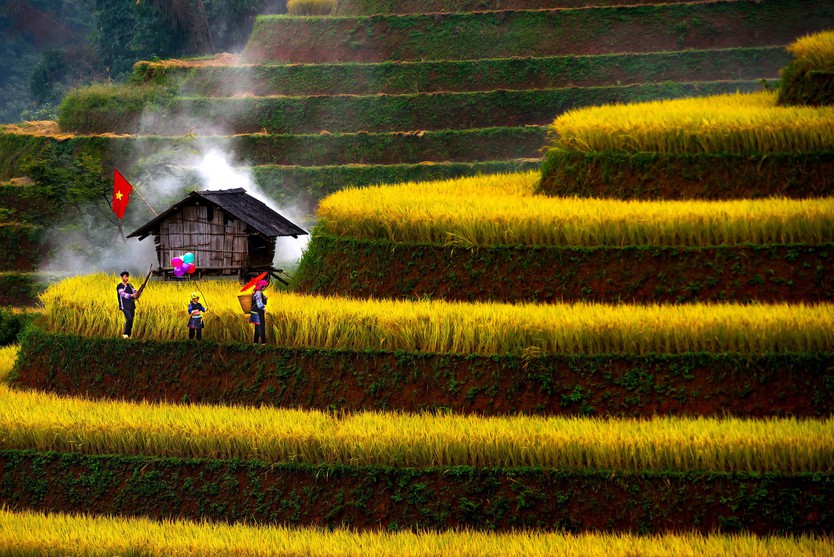 Đẹp nao lòng bức tranh mùa lúa chín ở Mù Cang Chải- Ảnh 2.