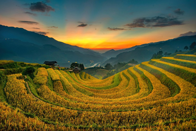 Đẹp nao lòng bức tranh mùa lúa chín ở Mù Cang Chải- Ảnh 4.