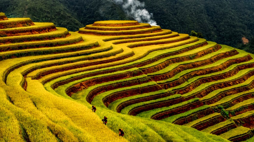 Đẹp nao lòng bức tranh mùa lúa chín ở Mù Cang Chải- Ảnh 5.