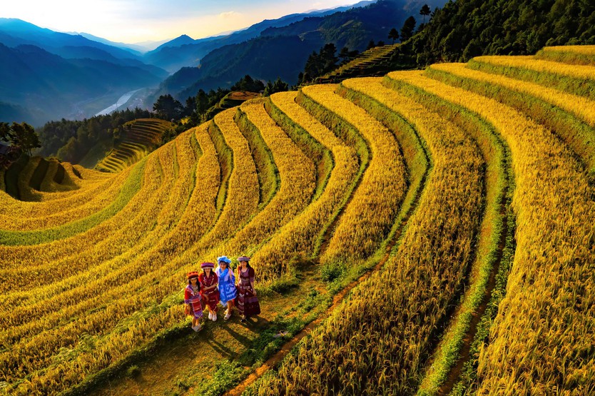 Đẹp nao lòng bức tranh mùa lúa chín ở Mù Cang Chải- Ảnh 6.