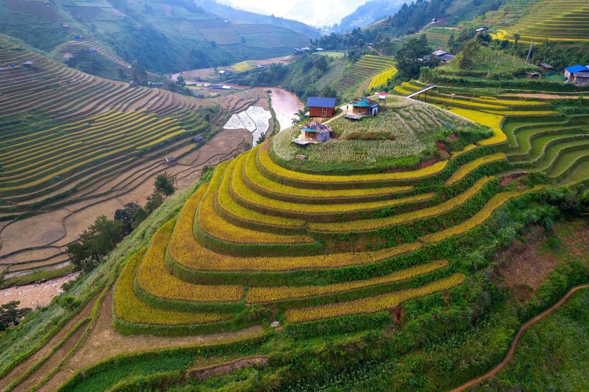 Đẹp nao lòng bức tranh mùa lúa chín ở Mù Cang Chải- Ảnh 8.
