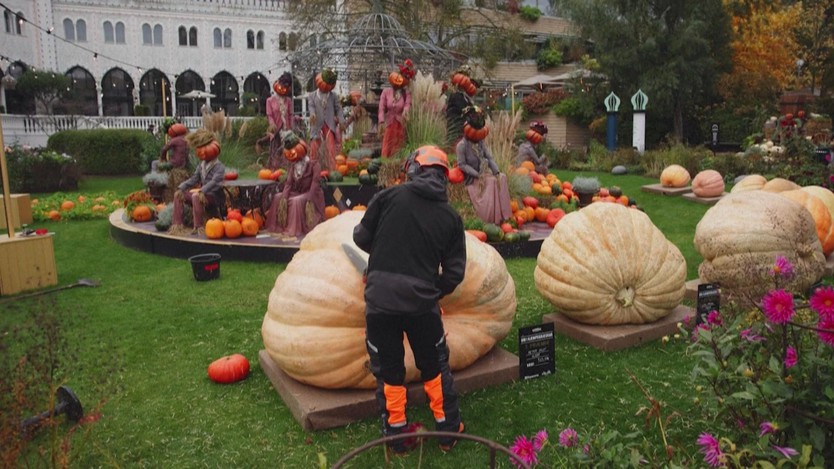 Bí ngô hơn 900kg chiến thắng cuộc thi Halloween tại Đan Mạch- Ảnh 4.