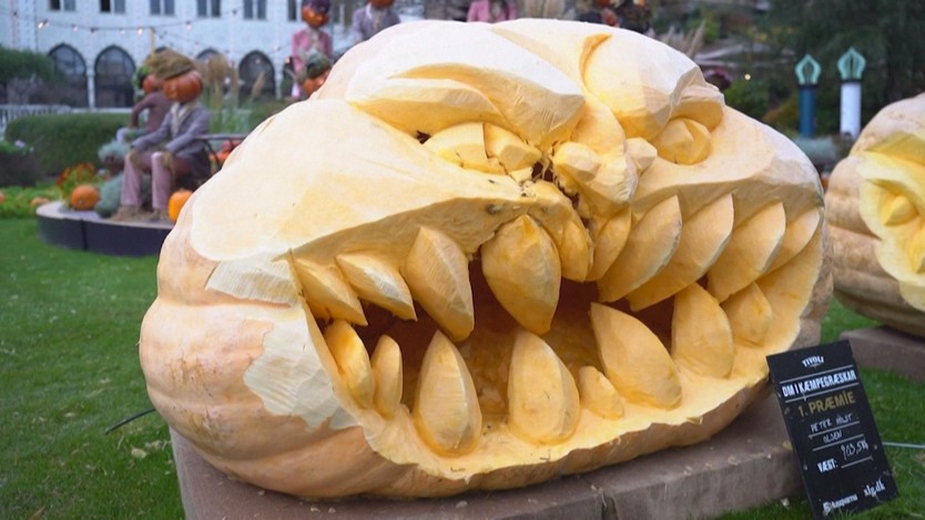 Bí ngô hơn 900kg chiến thắng cuộc thi Halloween tại Đan Mạch- Ảnh 1.