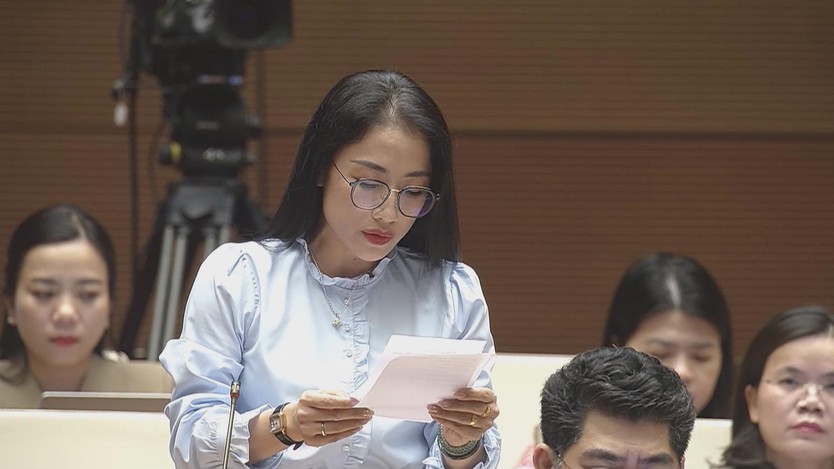 Quốc hội thảo luận về dự án Luật sửa đổi, bổ sung một số điều của Luật Giá  - Ảnh 2.