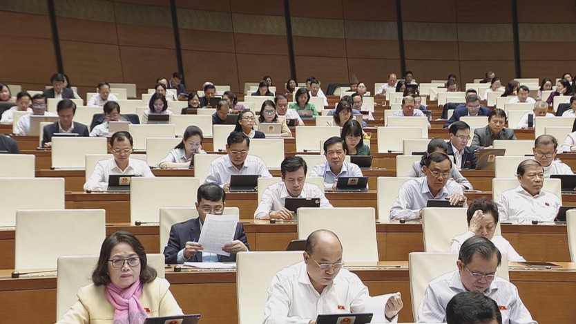 Đại biểu đề nghị quan tâm phát triển nền kinh tế hàng không tầm thấp- Ảnh 5.