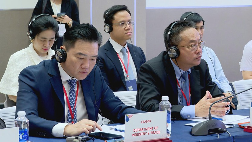 Chủ tịch UBND TP. Hồ Chí Minh Nguyễn Văn Được tiếp Đại sứ Ý tại Việt Nam - Ảnh 3.