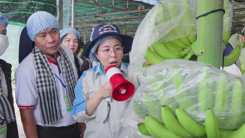 Sinh viên Lào, Campuchia hào hứng trải nghiệm nông nghiệp công nghệ cao tại Việt Nam- Ảnh 4.