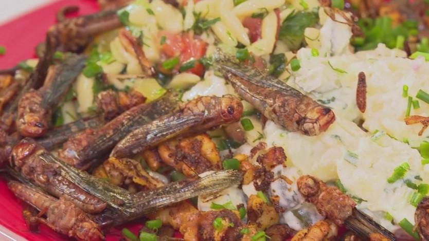 Đức: Quán cà phê phục vụ món SALAD... côn trùng! - Ảnh 3.