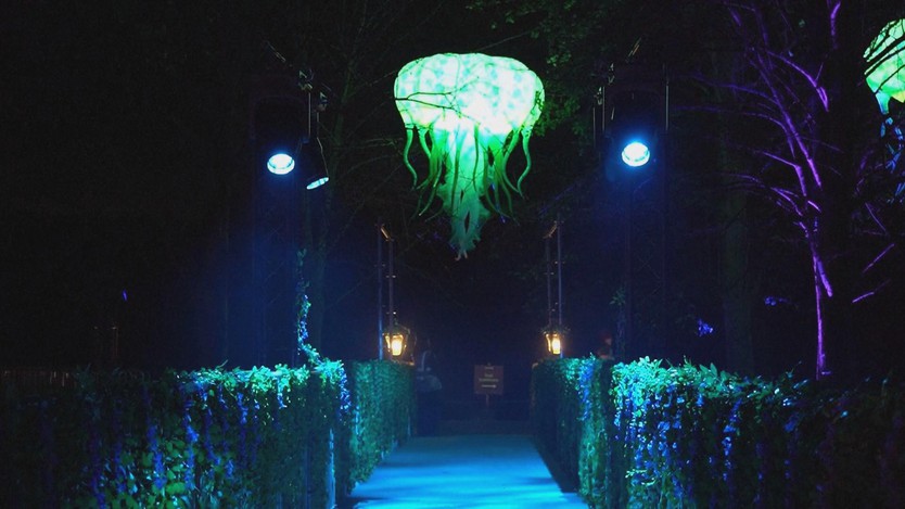 Xứ sở Neverland thắp sáng mùa Giáng sinh tại Anh - Ảnh 2.