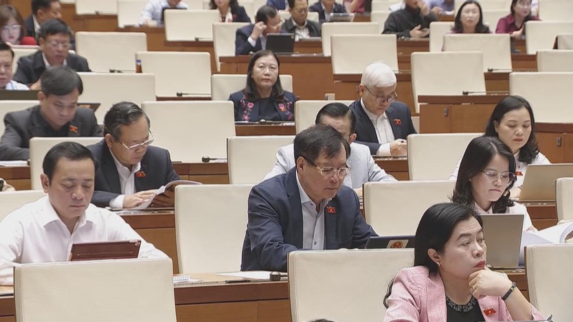 Quốc hội thảo luận dự thảo Luật Đầu tư sửa đổi: Nhiều ý kiến đề xuất cấm các chất gây nghiện và bóng cười- Ảnh 3.