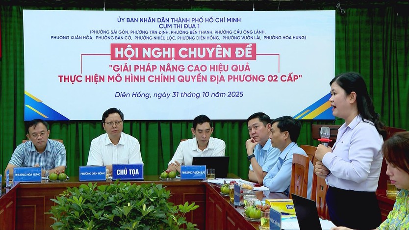 Hiệu quả bước đầu từ mô hình chính quyền địa phương 2 cấp tại TP. Hồ Chí Minh - Ảnh 5.