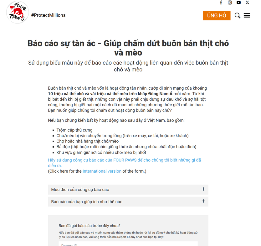 NewZround: Báo cáo sự tàn ác - Giúp chấm dứt buôn bán thịt chó và mèo - Ảnh 4.