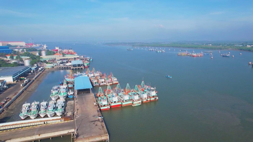 TP. Hồ Chí Minh đẩy mạnh giải pháp gỡ "Thẻ Vàng" IUU  - Ảnh 4.