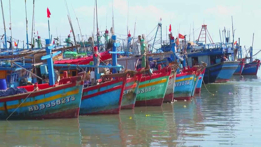 TP. Hồ Chí Minh đẩy mạnh giải pháp gỡ "Thẻ Vàng" IUU  - Ảnh 3.