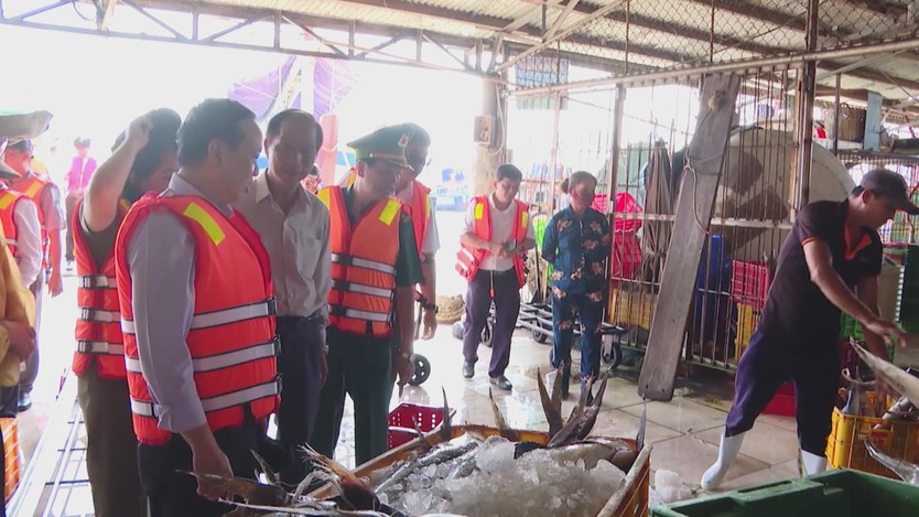 TP. Hồ Chí Minh đẩy mạnh giải pháp gỡ "Thẻ Vàng" IUU  - Ảnh 2.