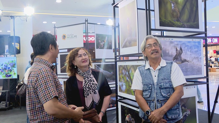 "Vũ điệu từ thiên nhiên" 2025: Triển lãm ảnh đa dạng sinh học ngoạn mục tại TP. Hồ Chí Minh- Ảnh 3.