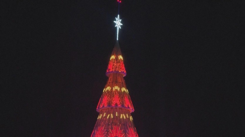 Brazil: Khánh thành cây thông Noel nổi - Ảnh 3.