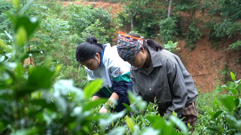 Em Hòa vượt nghịch cảnh, chăm mẹ và anh trai bệnh tâm thần - Mái ấm gia đình Việt- Ảnh 3.