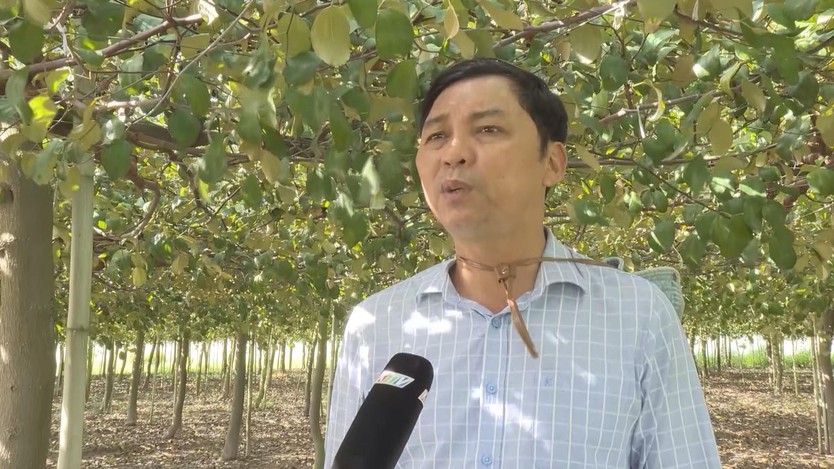 Tỉnh Khánh Hòa khôi phục sản xuất nông nghiệp sau mưa lũ - Ảnh 3.