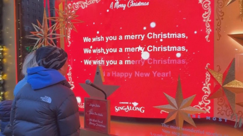 Mỹ: TP. New York ngập tràn không khí Noel - Ảnh 3.